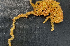 Objekt aus Bernsteinersatz