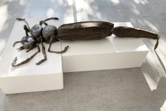 38E56618-F7B4-4F19-BF21-5F0C815BE4F0