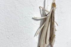 8CB1407F-C0A1-48D3-8463-350E196009F8