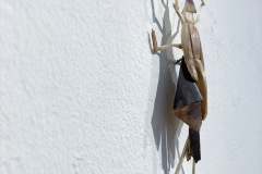 B7F07CFA-2165-4D00-BF3B-412637790F16