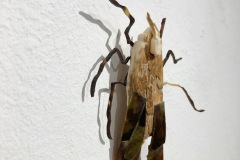 C9B0C4B5-2F4E-4728-8149-7C895535BD40