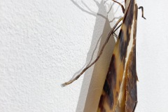 F2FA171C-9665-4912-9BFB-35C823975E9B