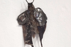 Threema_2025-07-04_07-57-421