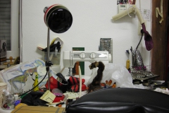 Home Office