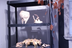 Installationsansicht